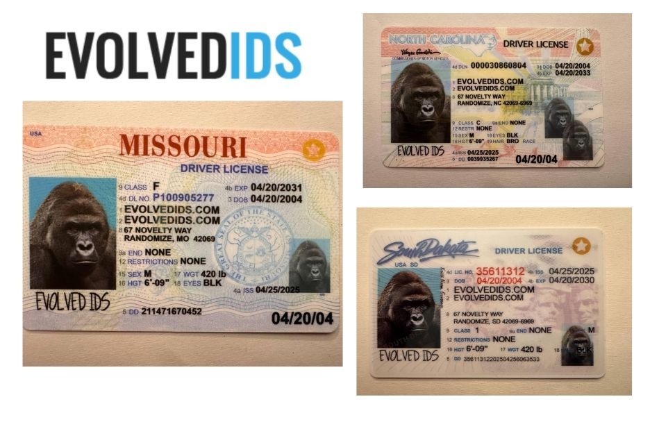 evolvedids com 1773720420412 6e96cf48